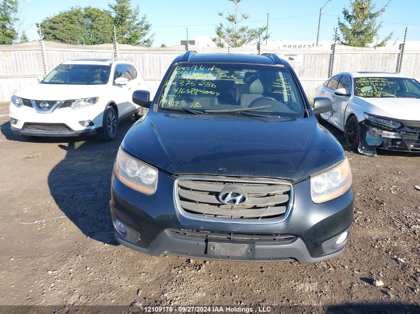 2010 Hyundai Santa Fe Sport VIN: 5NMSG4AG4AH416383 Lot: 12109175