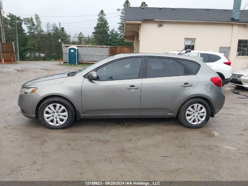 2012 Kia Forte Lx VIN: KNAFT5A28C5607640 Lot: 12109923