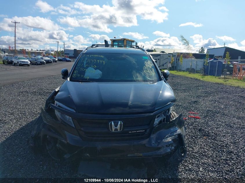 2021 Honda Pilot Elite VIN: 5FNYF6H04MB504468 Lot: 12109944