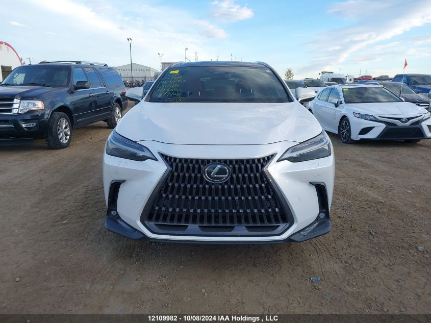 2022 Lexus Nx 350 VIN: 2T2GGCEZ6NC005800 Lot: 12109982