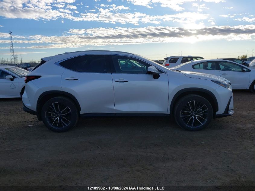 2022 Lexus Nx 350 VIN: 2T2GGCEZ6NC005800 Lot: 12109982