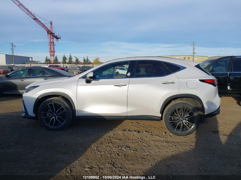 2022 Lexus Nx 350 VIN: 2T2GGCEZ6NC005800 Lot: 12109982