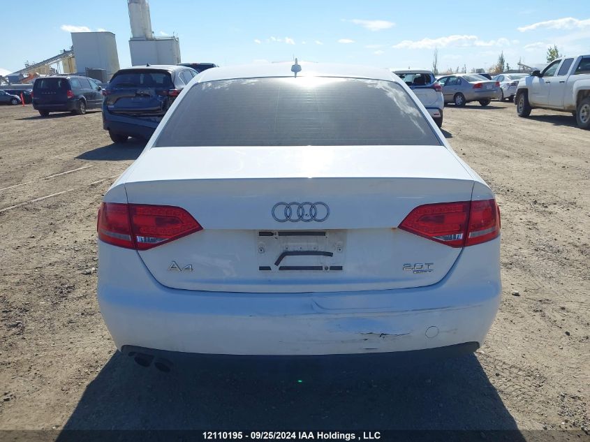 2010 Audi A4 Premium VIN: WAUBFCFLXAN038847 Lot: 12110195