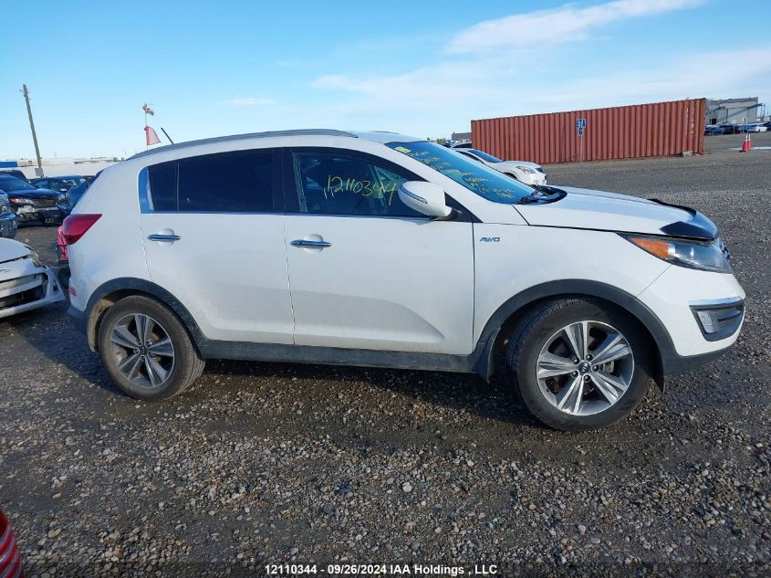 2014 Kia Sportage VIN: KNDPCCA61E7617190 Lot: 12110344