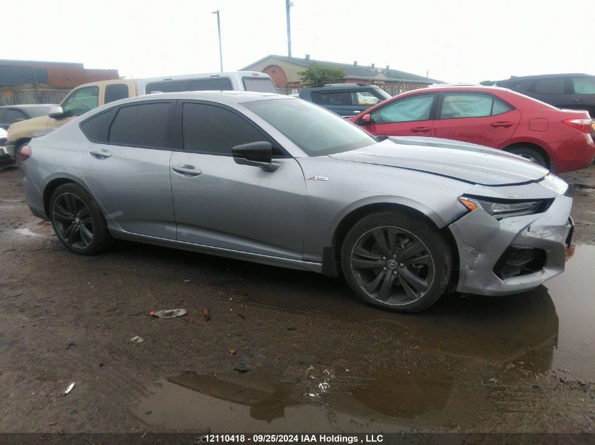 2021 Acura Tlx VIN: 19UUB6F59MA801822 Lot: 12110418