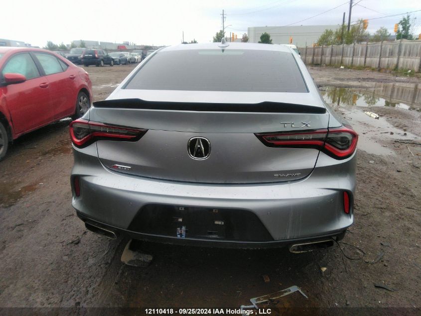 2021 Acura Tlx VIN: 19UUB6F59MA801822 Lot: 12110418