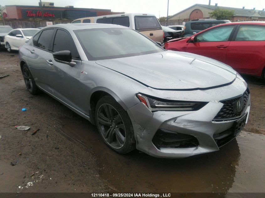 2021 Acura Tlx VIN: 19UUB6F59MA801822 Lot: 12110418