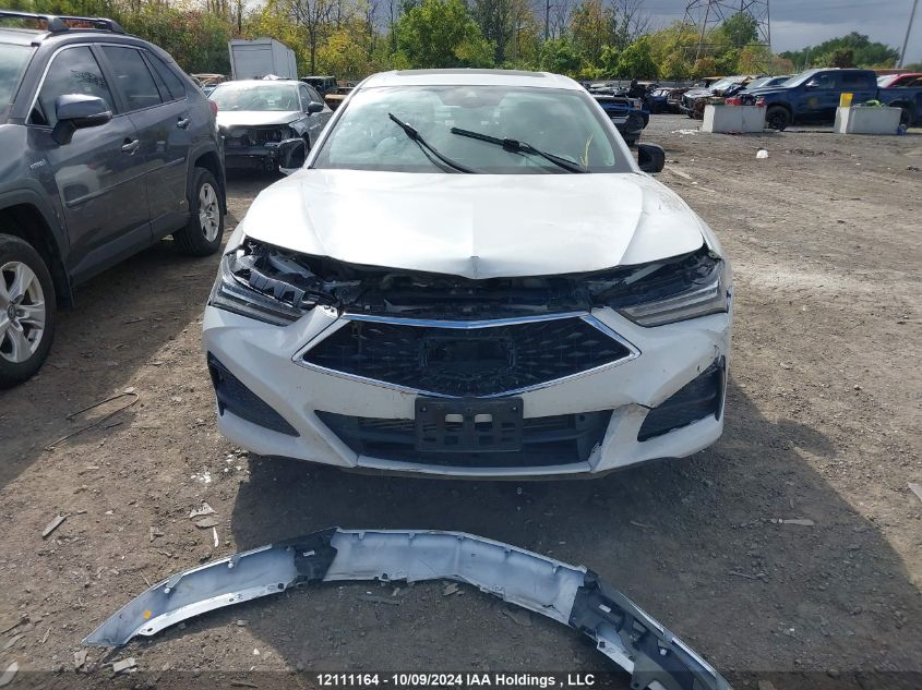 2021 Acura Tlx VIN: 19UUB6F43MA800995 Lot: 12111164