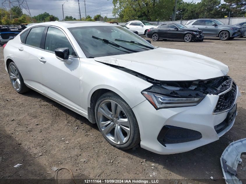 2021 Acura Tlx VIN: 19UUB6F43MA800995 Lot: 12111164