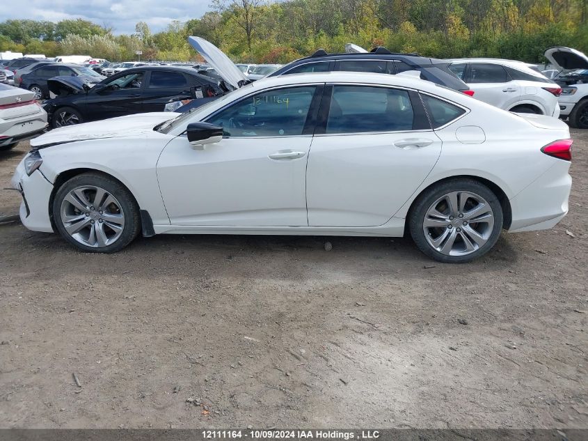 2021 Acura Tlx VIN: 19UUB6F43MA800995 Lot: 12111164