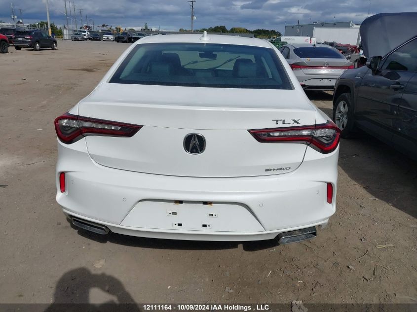 2021 Acura Tlx VIN: 19UUB6F43MA800995 Lot: 12111164