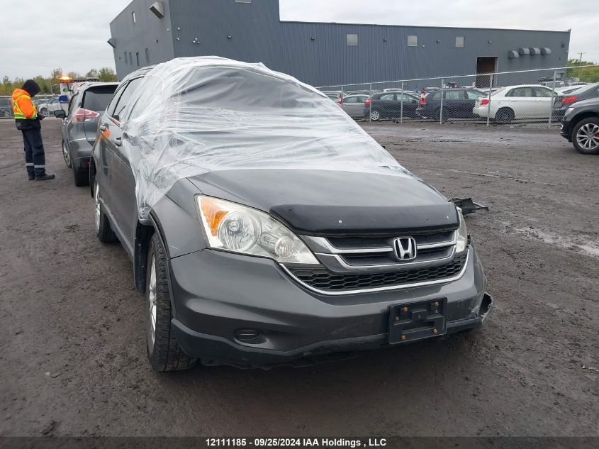 2010 Honda Cr-V Exl VIN: 5J6RE4H78AL812531 Lot: 12111185