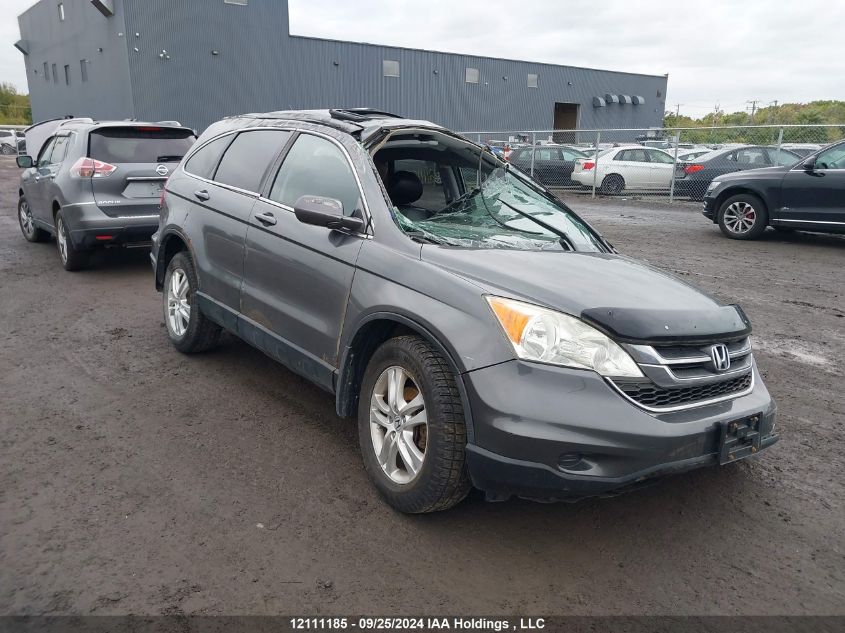 2010 Honda Cr-V Exl VIN: 5J6RE4H78AL812531 Lot: 12111185