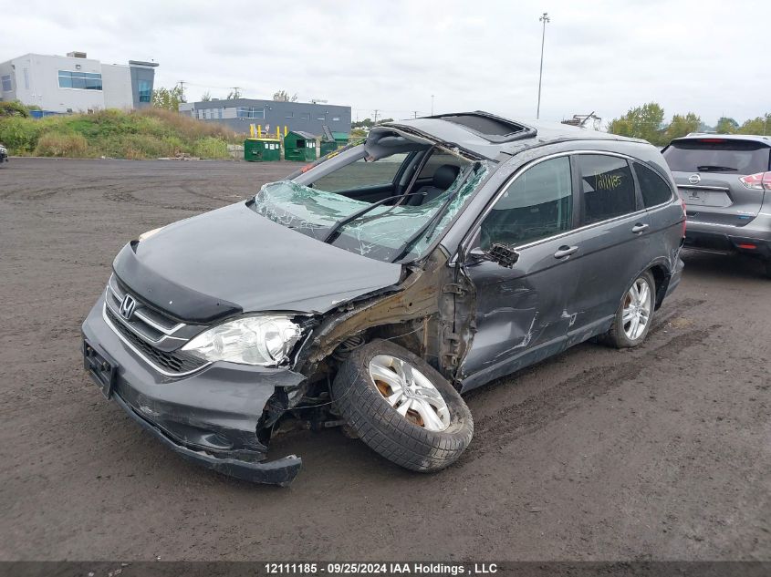 2010 Honda Cr-V Exl VIN: 5J6RE4H78AL812531 Lot: 12111185