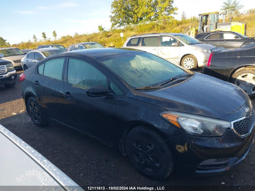 2016 Kia Forte VIN: KNAFK4A67G5449166 Lot: 12111613