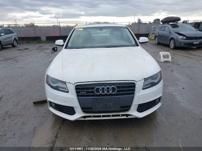 2010 Audi A4 Premium Plus VIN: WAUHFCFL0AN058034 Lot: 12111901