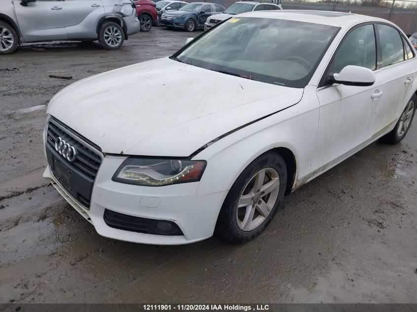 2010 Audi A4 Premium Plus VIN: WAUHFCFL0AN058034 Lot: 12111901