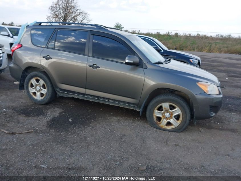 2010 Toyota Rav4 VIN: 2T3BF4DV8AW046497 Lot: 12111927