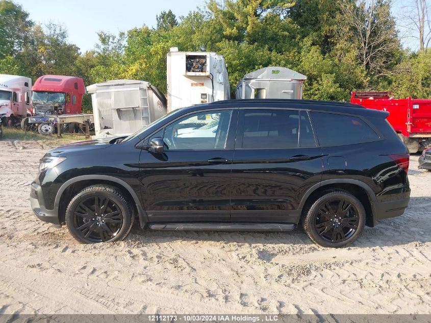 2019 Honda Pilot Elite VIN: 5FNYF6H00KB500558 Lot: 12112173