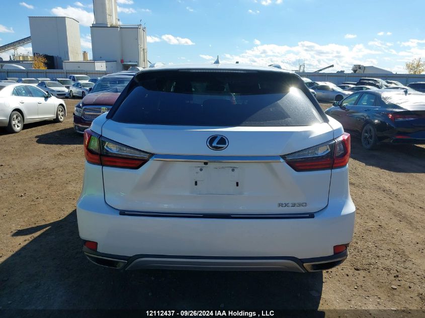 2020 Lexus Rx 350 VIN: 2T2HZMDA5LC243960 Lot: 12112437