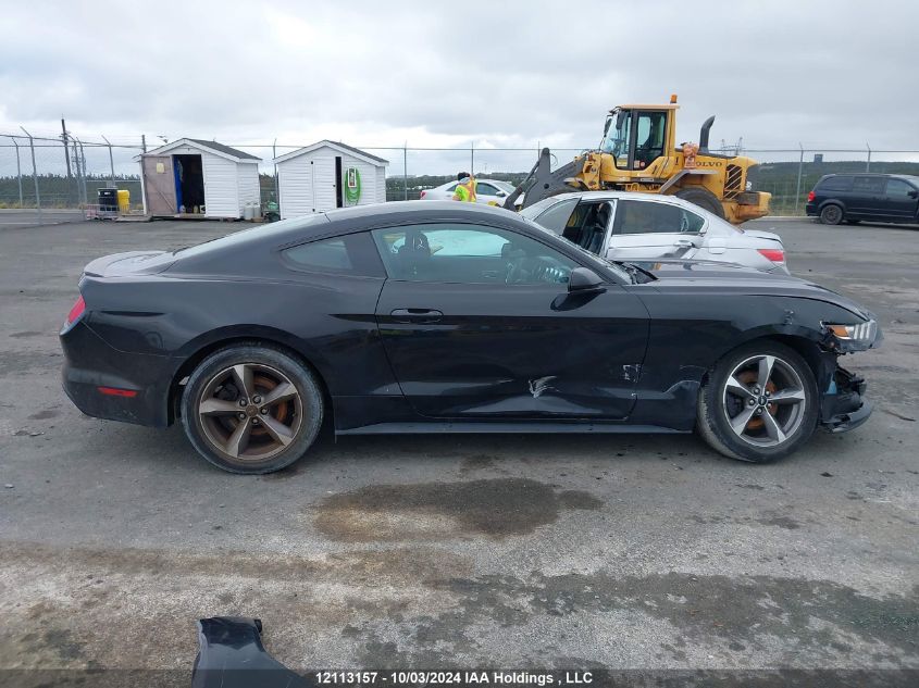 2017 Ford Mustang VIN: 1FA6P8AM7H5327702 Lot: 12113157