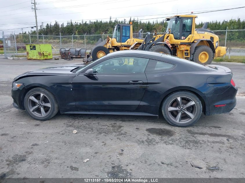 2017 Ford Mustang VIN: 1FA6P8AM7H5327702 Lot: 12113157