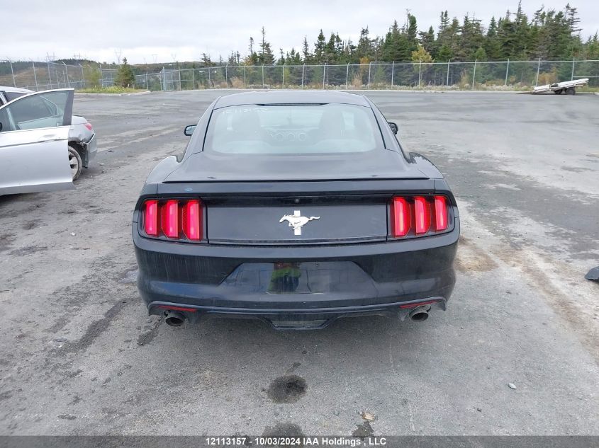 2017 Ford Mustang VIN: 1FA6P8AM7H5327702 Lot: 12113157