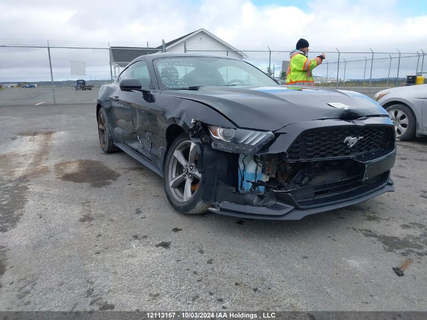 2017 Ford Mustang VIN: 1FA6P8AM7H5327702 Lot: 12113157