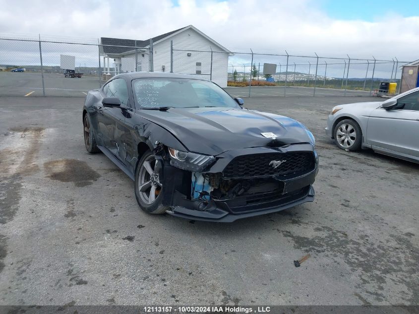 2017 Ford Mustang VIN: 1FA6P8AM7H5327702 Lot: 12113157