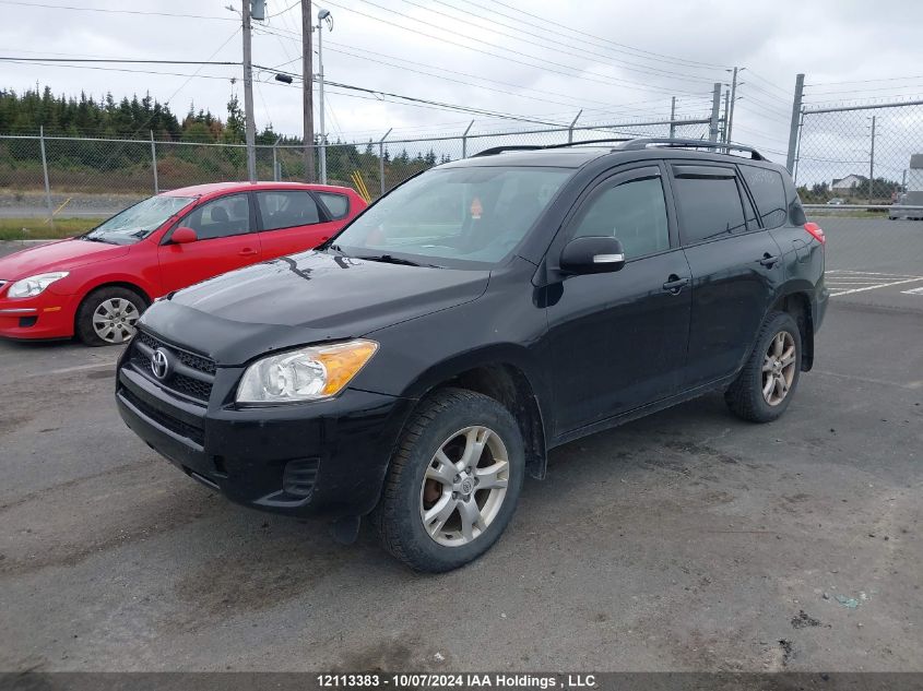 2T3BF4DV1BW118142 2011 Toyota Rav4