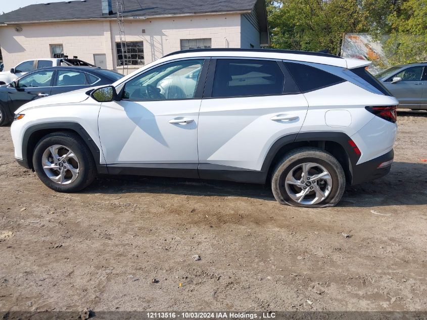 2023 Hyundai Tucson VIN: KM8JBCAE9PU196898 Lot: 12113516