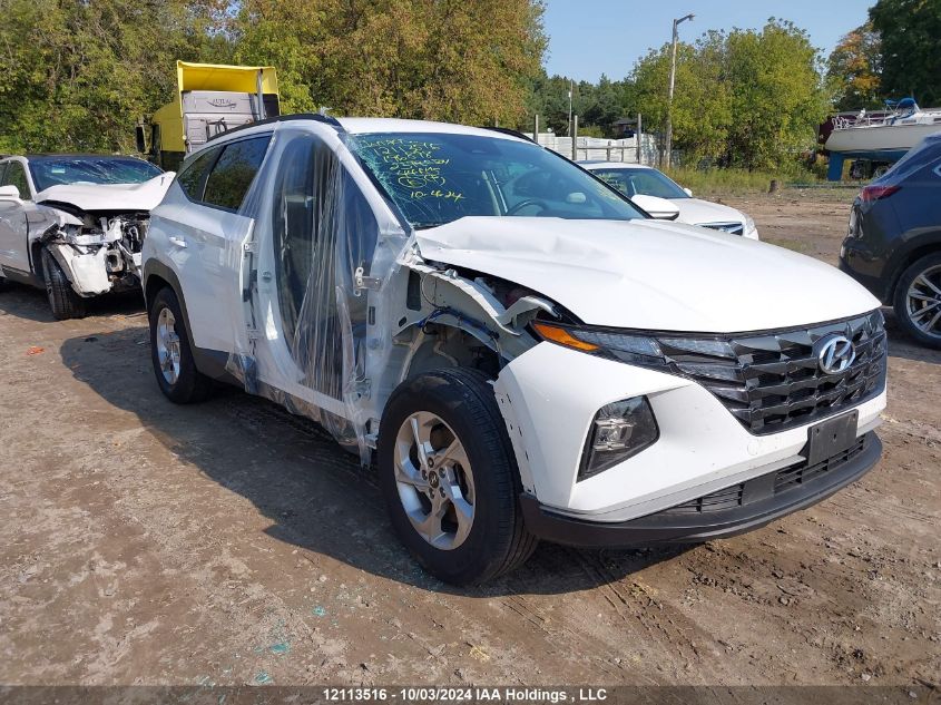 2023 Hyundai Tucson VIN: KM8JBCAE9PU196898 Lot: 12113516