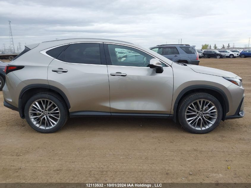 2023 Lexus Nx 350 VIN: 2T2GGCEZ4PC027393 Lot: 12113532