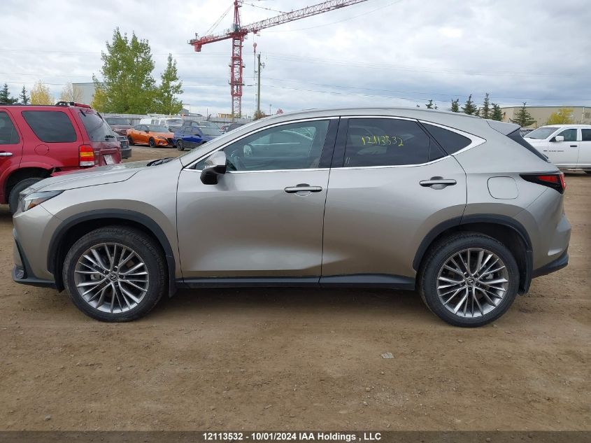 2023 Lexus Nx 350 VIN: 2T2GGCEZ4PC027393 Lot: 12113532