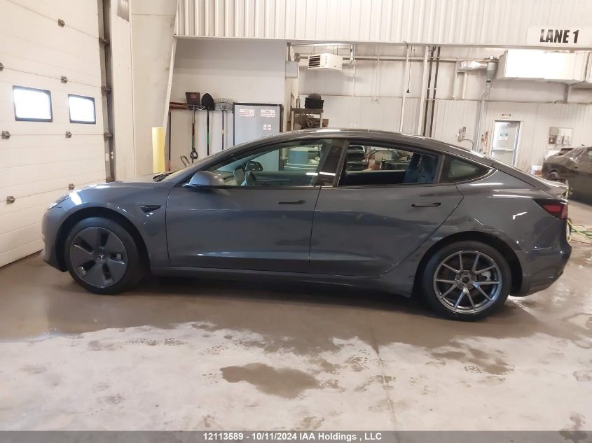 2021 Tesla Model 3 VIN: 5YJ3E1EAXMF093591 Lot: 12113589