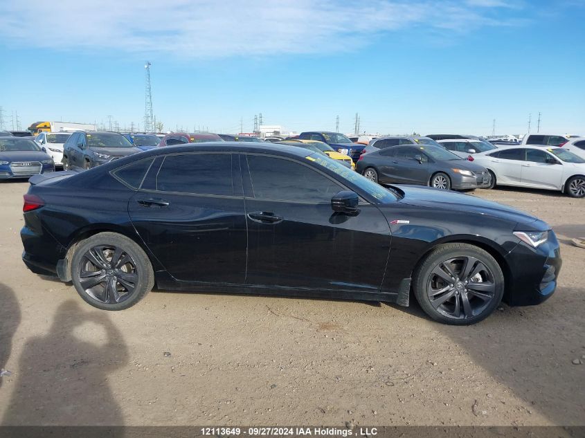 2022 Acura Tlx VIN: 19UUB6F55NA800488 Lot: 12113649