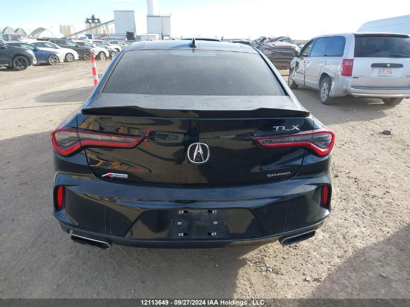 2022 Acura Tlx VIN: 19UUB6F55NA800488 Lot: 12113649