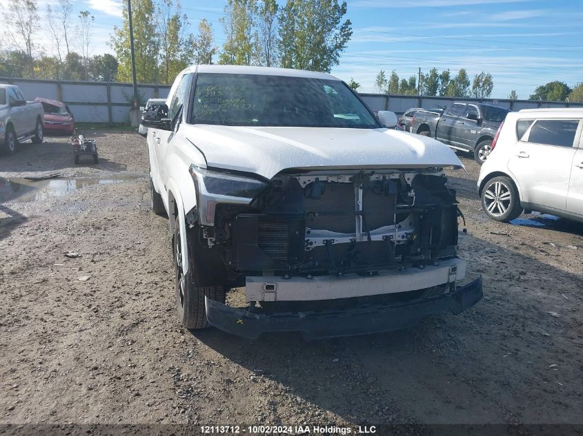 2023 Toyota Tundra Sr VIN: 5TFLA5DA1PX079772 Lot: 12113712