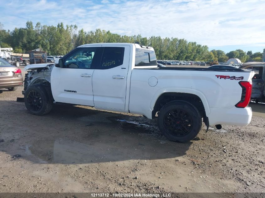 2023 Toyota Tundra Sr VIN: 5TFLA5DA1PX079772 Lot: 12113712