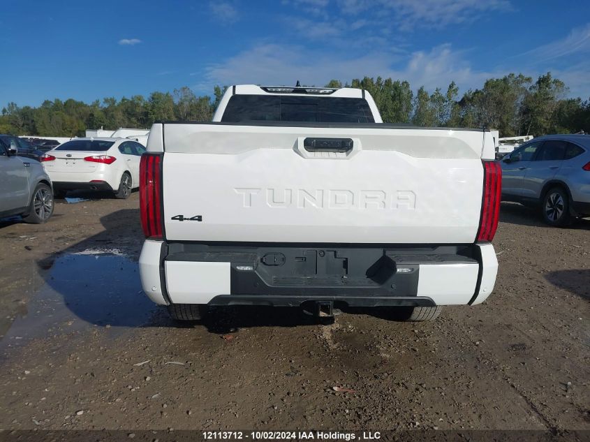 2023 Toyota Tundra Sr VIN: 5TFLA5DA1PX079772 Lot: 12113712