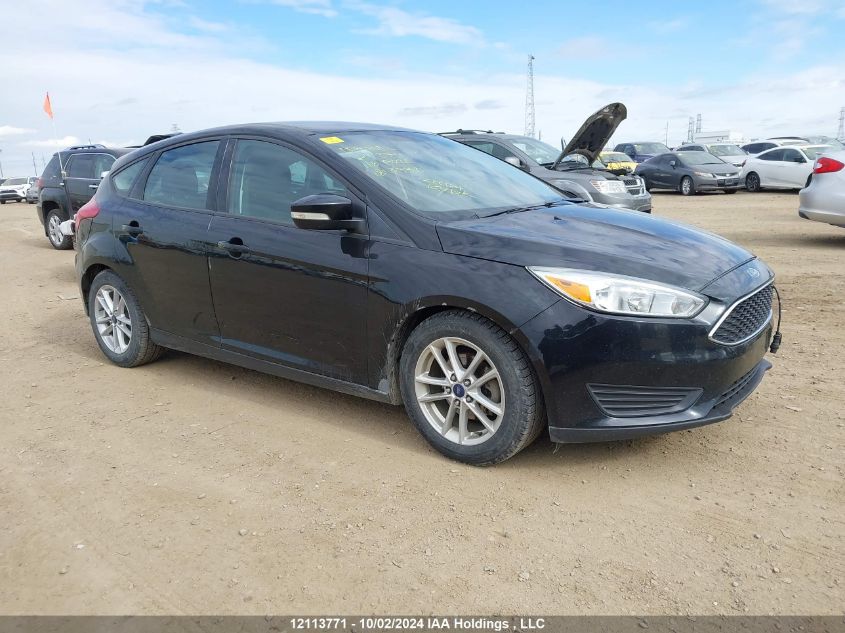 2016 Ford Focus Se VIN: 1FADP3K24GL317310 Lot: 12113771