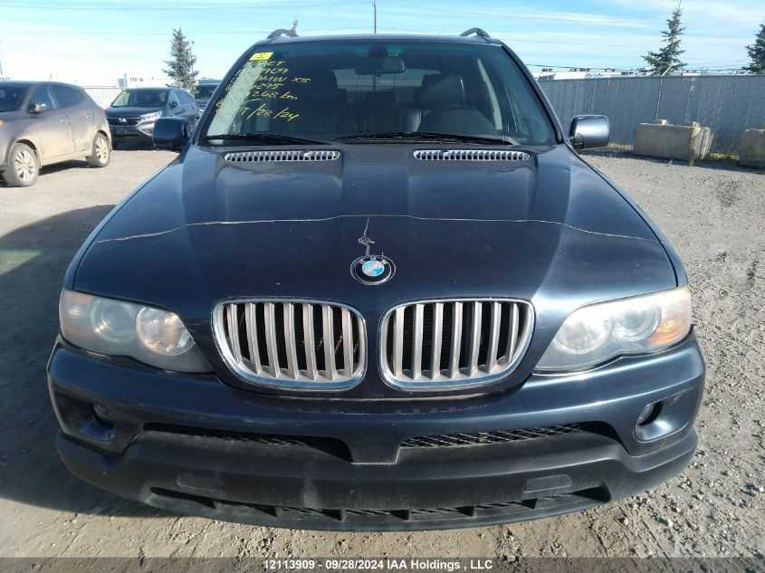 2005 BMW X5 VIN: 5UXFB53585LV16295 Lot: 12113909