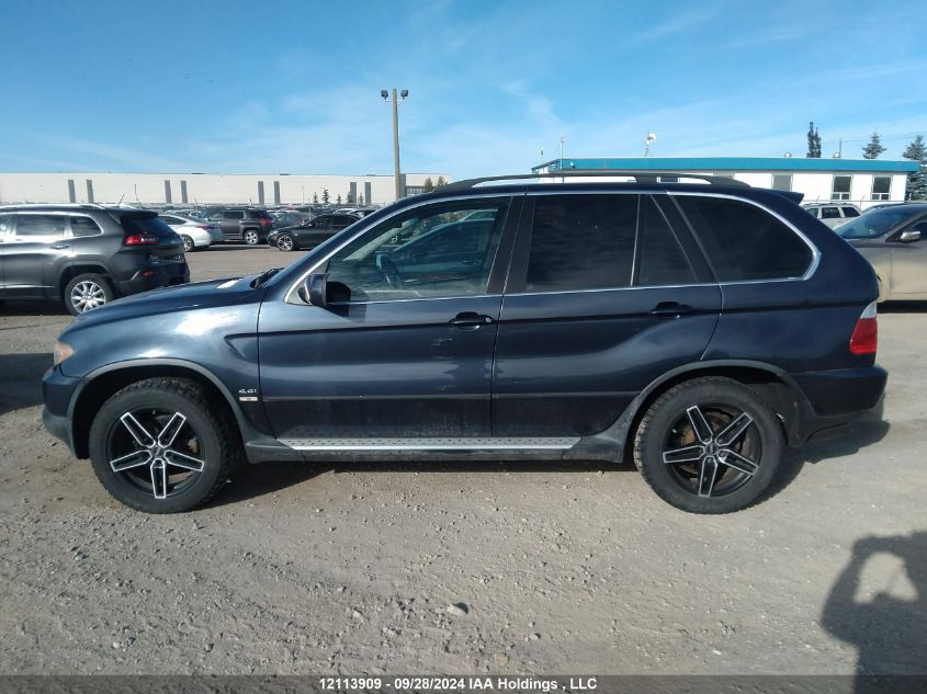 2005 BMW X5 VIN: 5UXFB53585LV16295 Lot: 12113909