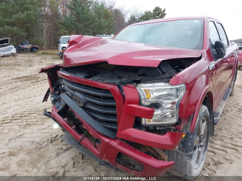 2016 Ford F-150 VIN: 1FTFW1EF2GFA01525 Lot: 12114124