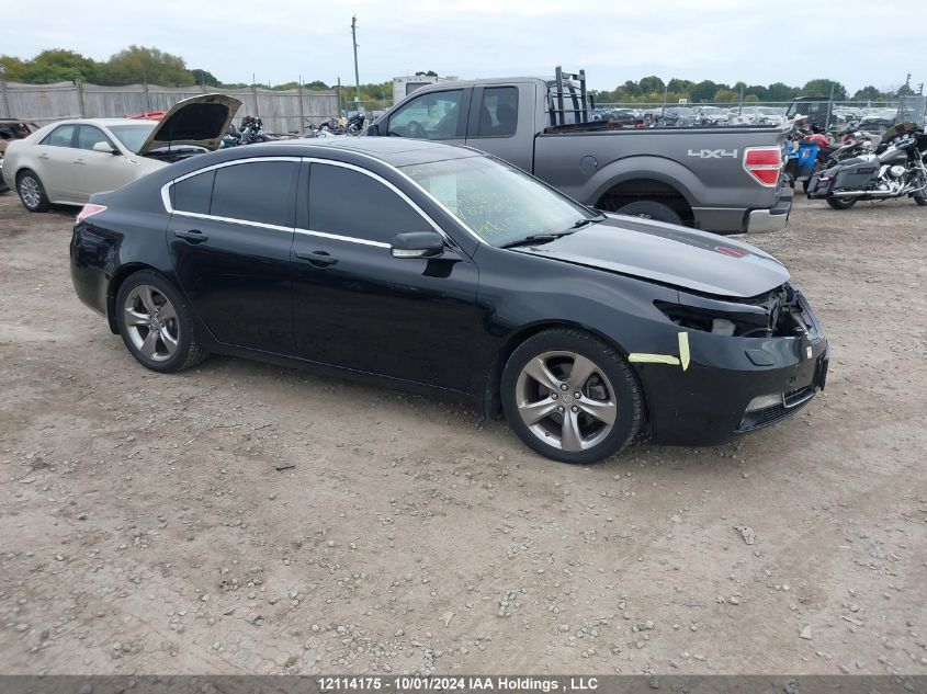 2012 Acura Tl VIN: 19UUA9F58CA800356 Lot: 12114175