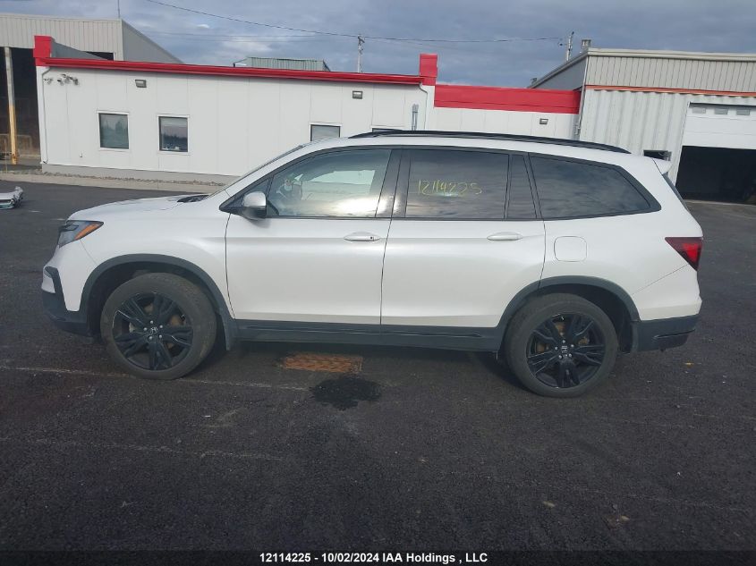 2020 Honda Pilot Elite VIN: 5FNYF6H0XLB501007 Lot: 12114225