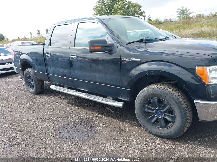 2013 Ford F-150 VIN: 1FTFW1EF8DFD04935 Lot: 12114253