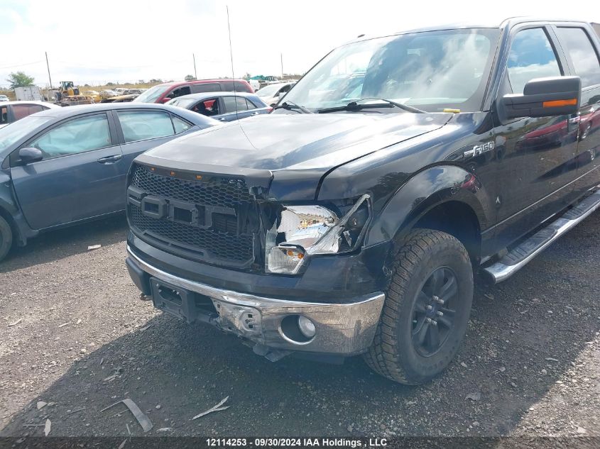 2013 Ford F-150 VIN: 1FTFW1EF8DFD04935 Lot: 12114253