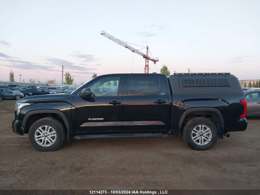 2023 Toyota Tundra Crewmax Sr/Crewmax Sr5 VIN: 5TFLA5DB2PX098291 Lot: 12114273