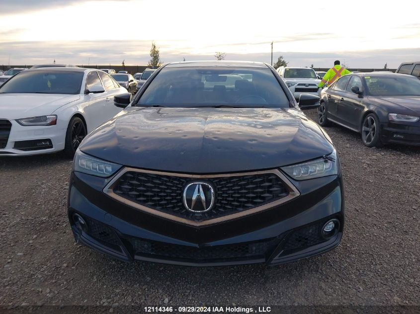 2018 Acura Tlx Elite VIN: 19UUB3F84JA800081 Lot: 12114346